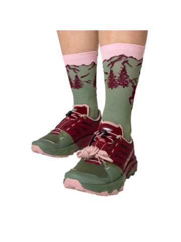 DYNAFIT Buty "Alpine Pro 2" w kolorze bordowo-zielonym do biegania