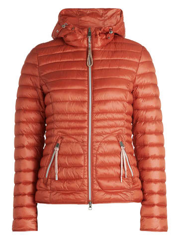 CARTOON Steppjacke in Orange