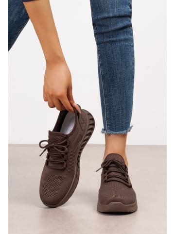 C'M Sneakersy w kolorze fioletowo-brązowym
