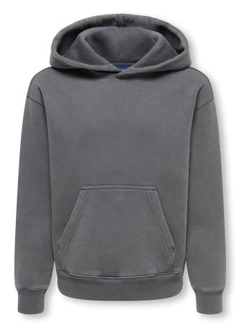 Hoodie "Larry" in Grau