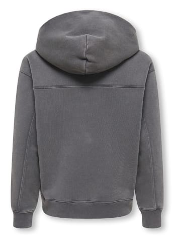 Bluza "Larry" w kolorze szarym