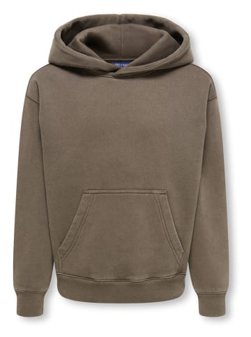 Bluza "Larry" w kolorze jasnobrązowym