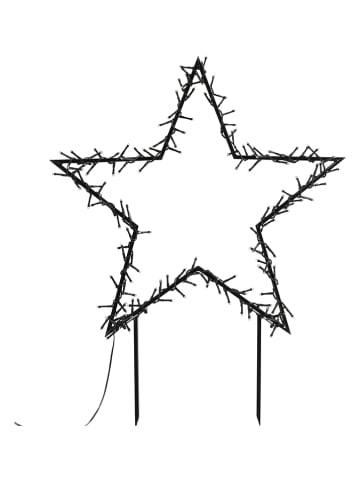 Hollybell Decoratieve ledlamp "Star" warmwit - (B)60 x (H)60 cm