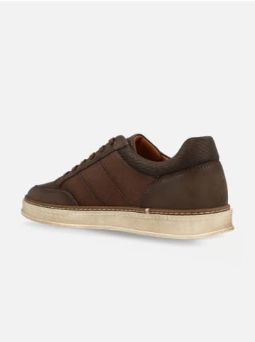 Wrangler Sneakers "Oran" in Braun