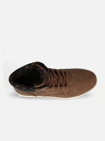 Wrangler Sneakers "Denver" in Braun