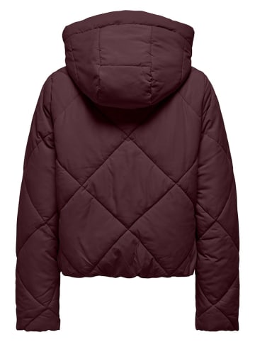 Winterjas bordeaux