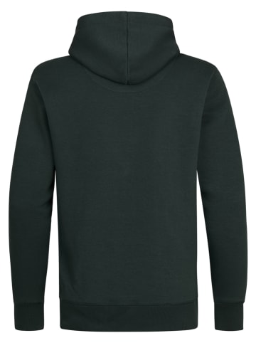 Petrol Industries Hoodie groen