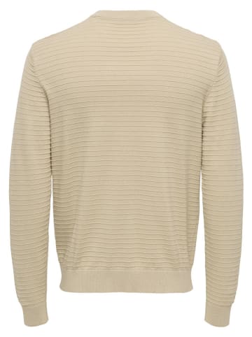 ONLY & SONS Trui "Storm" beige