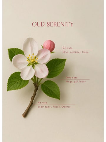 BELLA MAISON Spray do pomieszczeń "Oud Serenity" - 500 ml