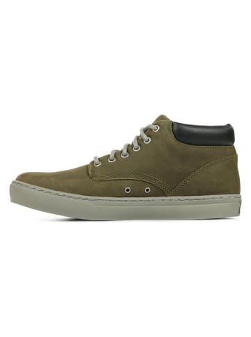 Timberland Leren sneakers kaki