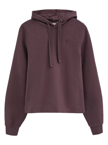 Polo Club Bluza w kolorze fioletowym