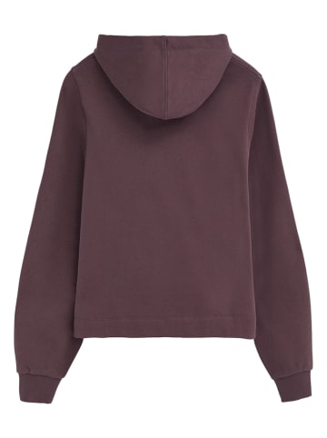 Polo Club Bluza w kolorze fioletowym