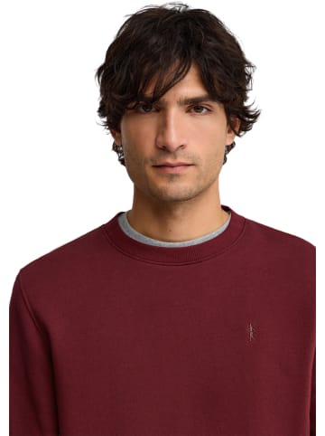 Polo Club Sweatshirt bordeaux