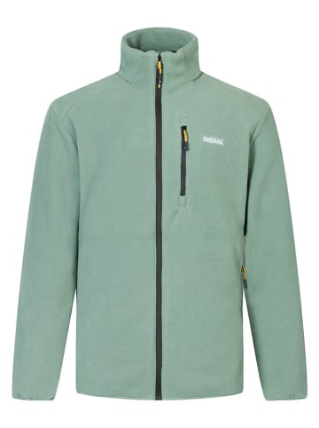 Regatta Fleecejacke "Brinnden" in Grün