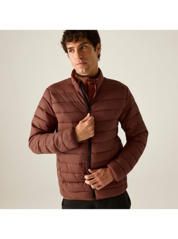 Regatta Steppjacke "Marizion" in Hellbraun