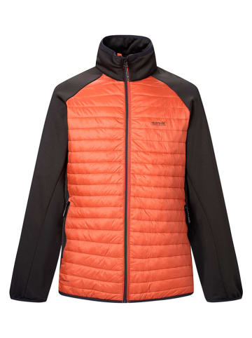 Regatta Hybride jas "Clumber" zwart/oranje