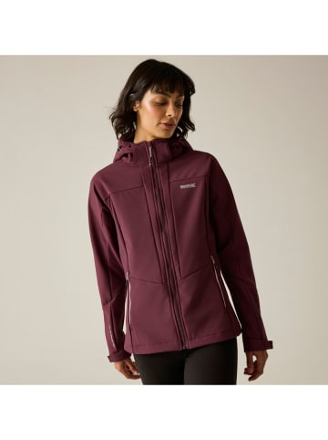 Regatta Softshelljas "Desoto" bordeaux