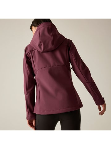 Regatta Softshelljas "Desoto" bordeaux