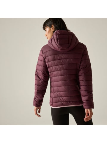 Regatta Steppjacke "Marizion" in Bordeaux