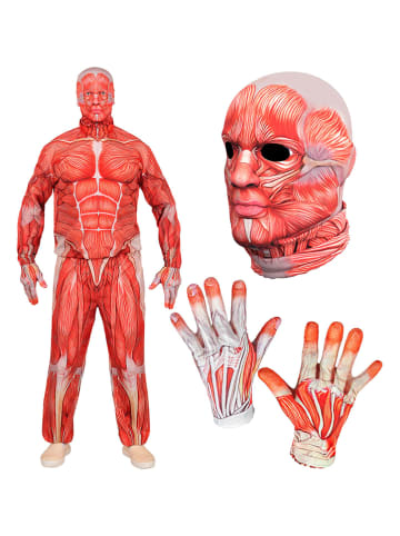 4tlg. Kostüm "ANATOMY FAST COSTUME"  in Orange