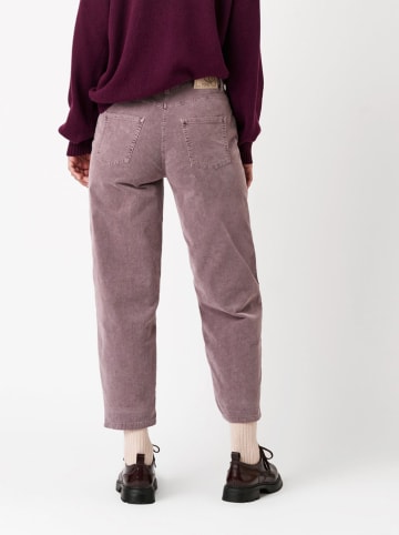 Toni Cordhose in Mauve
