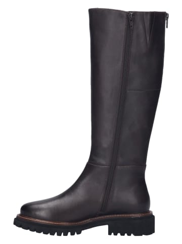 Josef Seibel Leder-Stiefel "Millie 03' in Braun