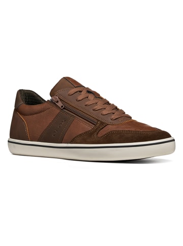 Geox Sneakers "Elver" lichtbruin