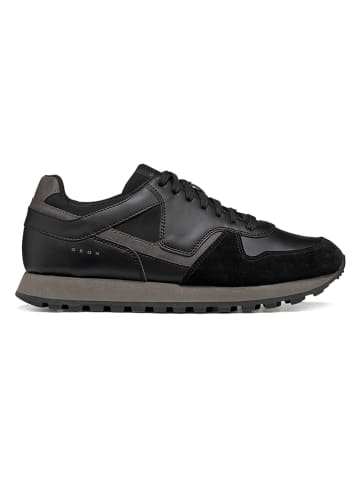 Geox Sneakers "Ponente" in Schwarz/ Anthrazit