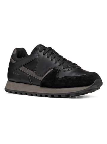 Geox Sneakers "Ponente" in Schwarz/ Anthrazit