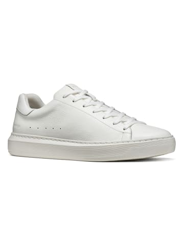 Geox Skórzane sneakersy "Deiven" w kolorze białym