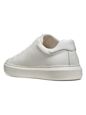Geox Leder-Sneakers "Deiven" in Weiß