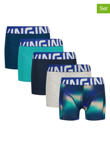 Vingino 5-delige set: boxershorts meerkleurig