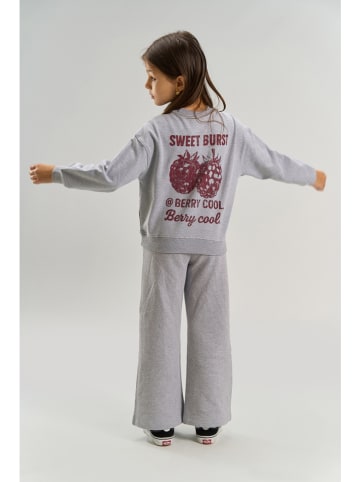 The NEW Sweatshirt "Veris" in Grau