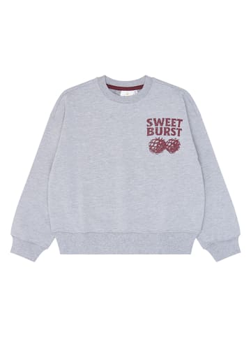 The NEW Sweatshirt "Veris" grijs