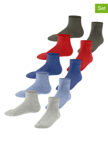 ESPRIT 5er-Set: Socken in Bunt