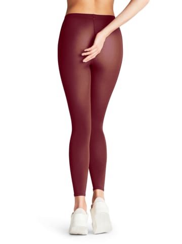 Falke Leggings "Cotton Touch" in Bordeaux - 50 DEN