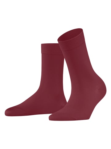 Falke Skarpety w kolorze bordowym