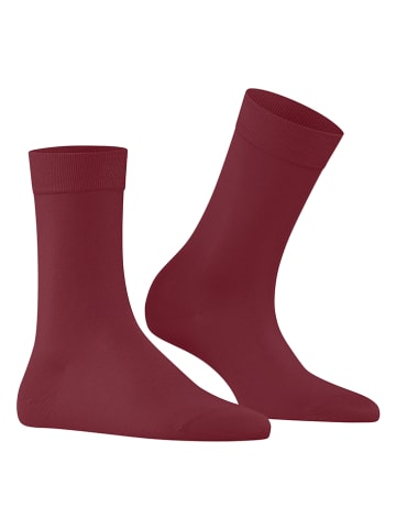 Falke Socken in Bordeaux