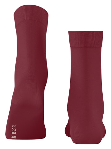 Falke Socken in Bordeaux