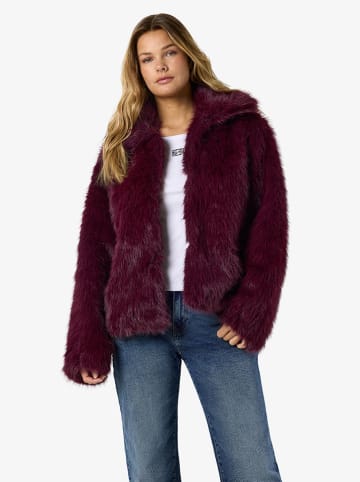 Teddyjacke in Bordeaux