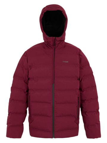 Winterjacke "Altoro Thermal" in Bordeaux