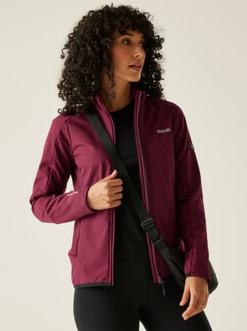 Softshelljacke "Moutdale" in Beere