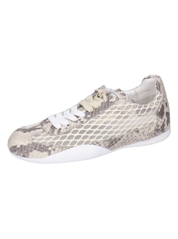 Skórzane sneakersy "Sloane 6" w kolorze beżowym