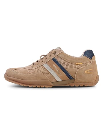 Leder-Sneakers "Driver" in Beige