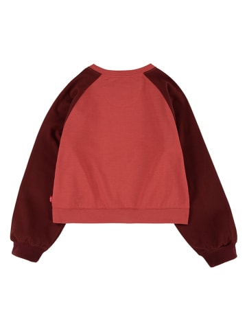 Sweatshirt in Rot
