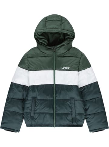 Steppjacke in Grün/ Weiß