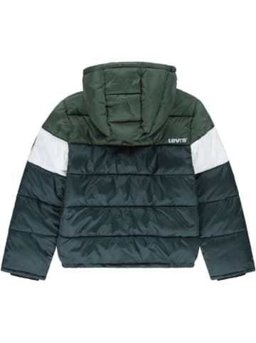 Steppjacke in Grün/ Weiß