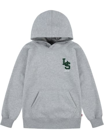 Hoodie grijs
