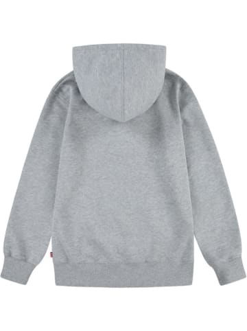 Hoodie in Grau