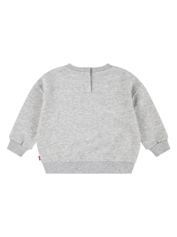 Sweatshirt in Grau